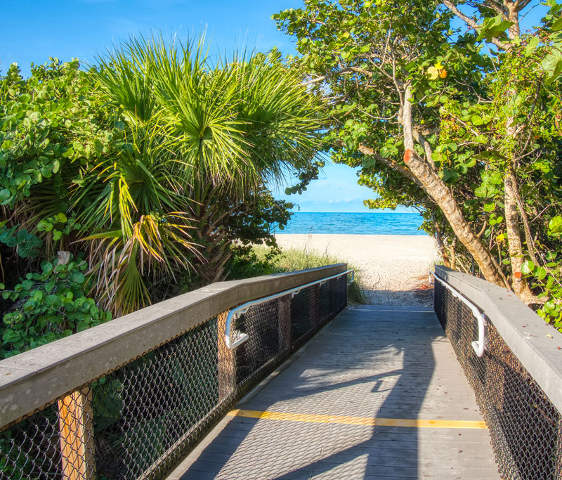 A brigde pathway with tree's arching over the exit towards the beach