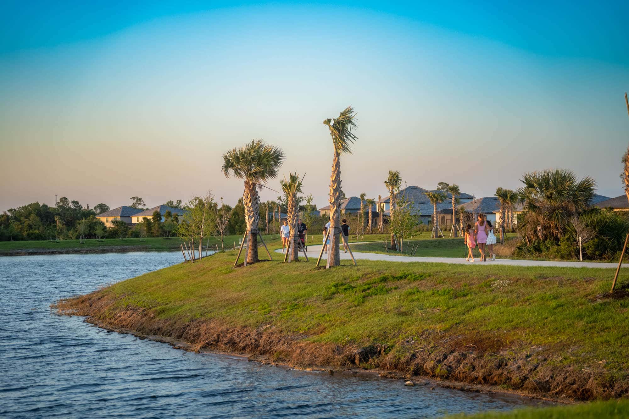 A promenade with palm trees lining the promenade and people walking in the afternoon